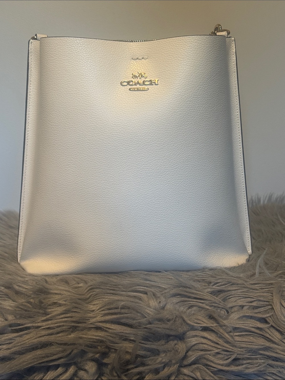 Coach Mollie Bucket Bag 22 Chalk Cream Leather Gold Hardware CA214